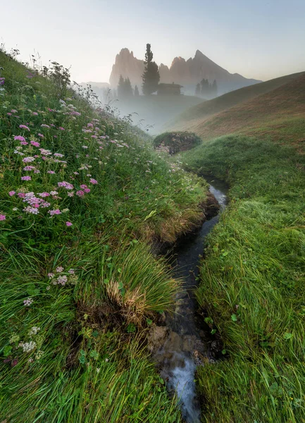 Alpe di Siusi meadows gündoğumu
