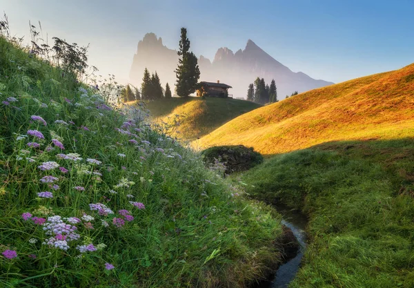 Alpe di Siusi louky při východu slunce — Stock fotografie