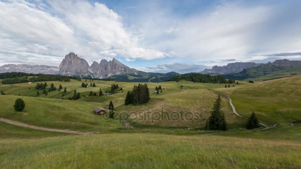 Alpe di Siusi meadow — 비디오