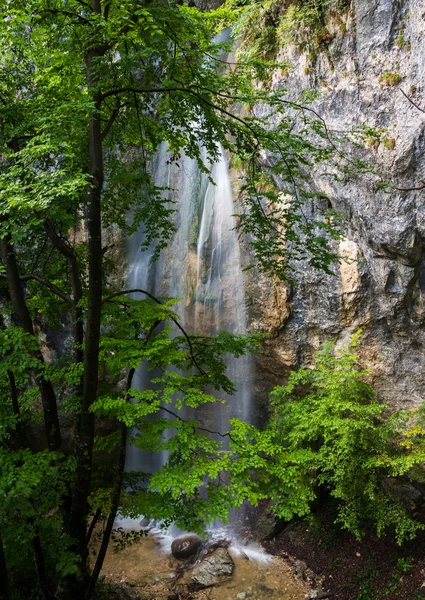 Bella cascata nella foresta — Foto Stock