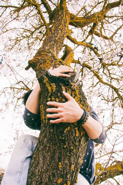 Man op boomtak — Stockfoto