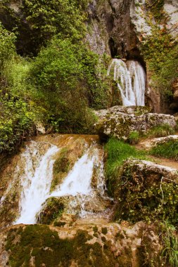 ormanda güzel şelale