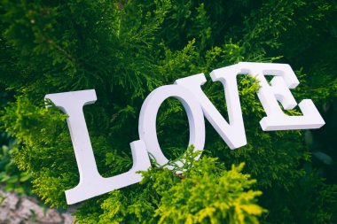 Sedir şube aşk söz