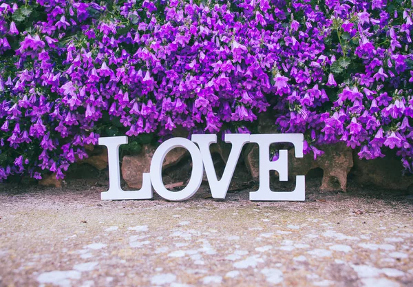 Miłość słowo przeciw różowe kwiaty — Zdjęcie stockowe