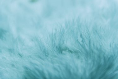 Mavi tonlarda tüylü desen 