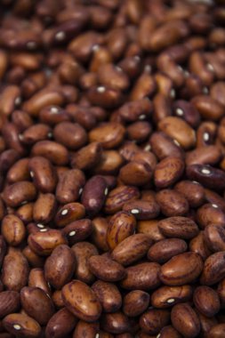 kırmızı fasulye tohumları 