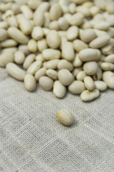 White beans seeds — Stock Photo, Image