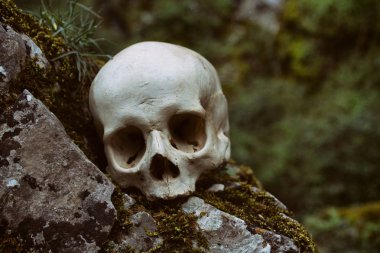 eski insan kafatası