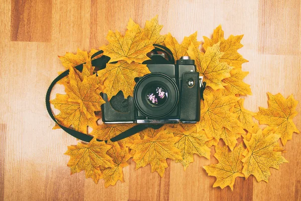 Analog camera with leaves — Stock Photo, Image