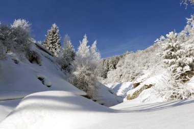 Güzel kış manzarası