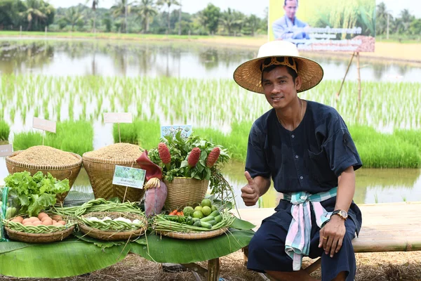Фермеры выращивают рис, демонстрируя достаточную экономию — стоковое фото