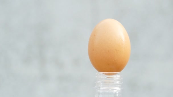 Яйцо взрывается, замедленная съемка . — стоковое видео