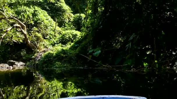 Wate caduta nella foresta pluviale tropicale profonda . — Video Stock