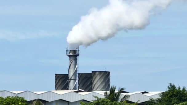 Humo de origen industrial, contaminación del medio ambiente . — Vídeo de stock