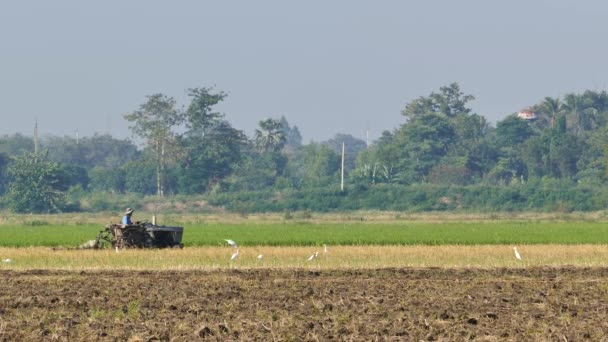 Tractores preparando tierra . — Vídeos de Stock