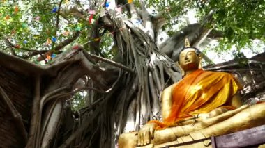 Budist Church albümdeki Buda.