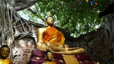 Budist Church albümdeki Buda.