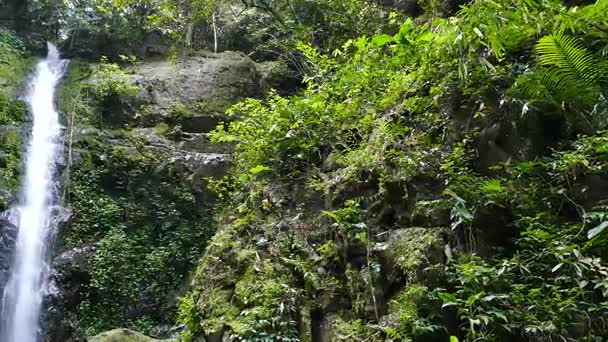 Waterfall in tropical rain forest. — Stock Video