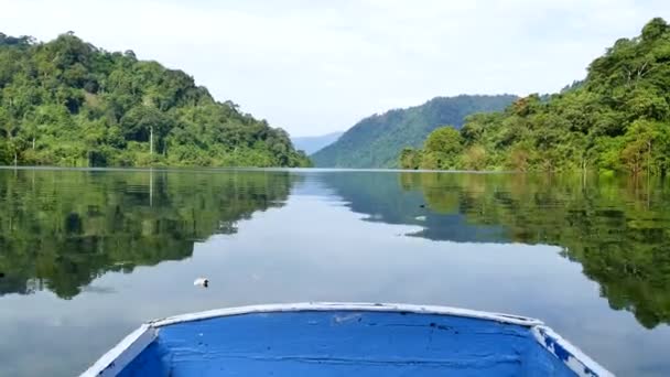 Вітрильний спорт в озері тропічних дощових лісів — стокове відео