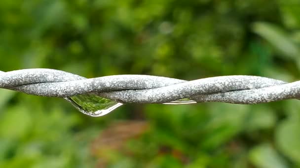 Gros plan des gouttes d'eau du fil après la pluie . — Video