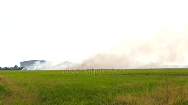 Humo oscuro cerca de planta industrial . — Vídeo de stock