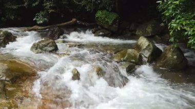 Tropikal yağmur ormanlarında şelale.