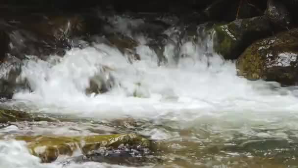 cascade dans la forêt tropicale humide.