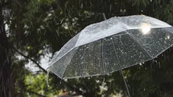 Regen trifft Regenschirm. — Stockvideo