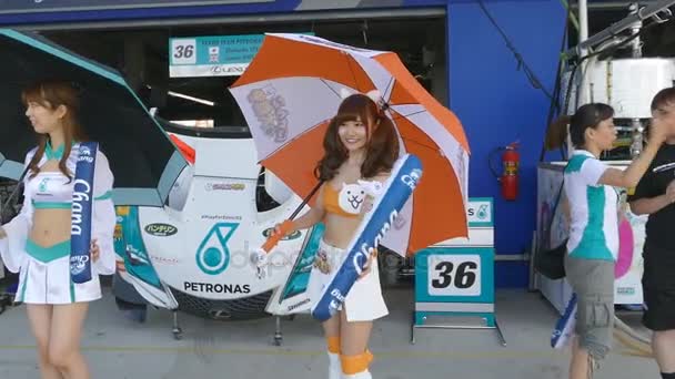 Race Queen of Japan in The 2015 Autobacs Super GT Series — Stock Video