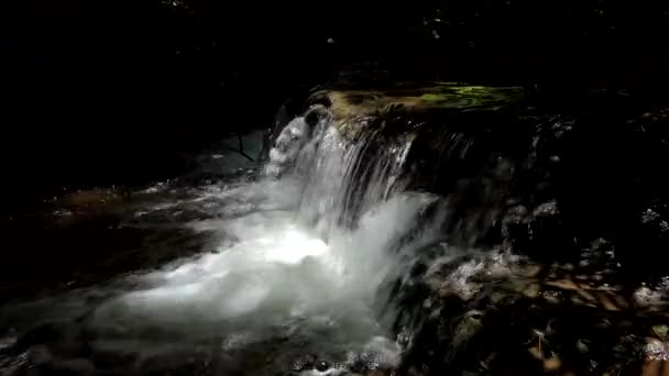Vattenfall i tropisk regnskog. natur bakgrund. — Stockvideo