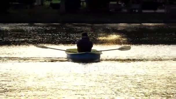 De man die de roeiriemen Roeien op de rivier. — Stockvideo