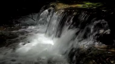 Tropikal yağmur ormanlarında şelale.