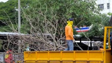  Dalları kamyon yükleme işçi.