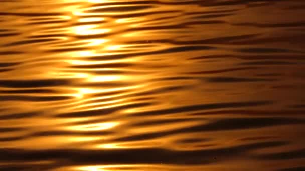 Réflexion de la lumière solaire sur l'eau . — Video