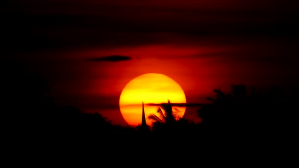 Sonnenuntergang und Silhouettenpflanze im Vordergrund. — Stockvideo