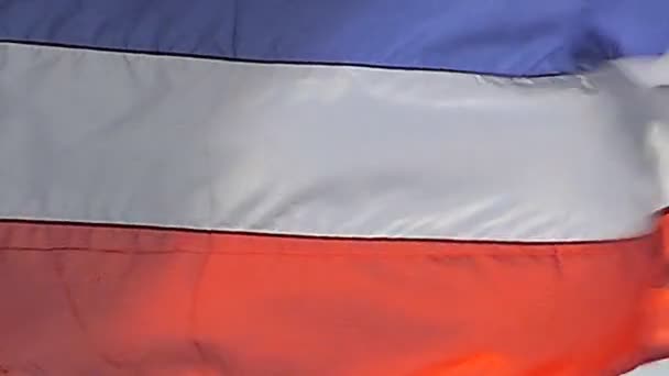 Bendera Thailand Melambai Tiang Bendera Dalam Angin — Stok Video