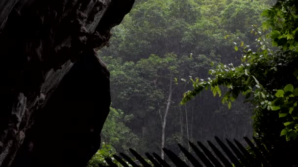 Gota Lluvia Selva Tropical Vista Desde Cueva Fondos Naturales — Vídeo de stock