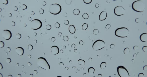 Rain Water Drops Pouring Car Glass Real Time — Stock Video