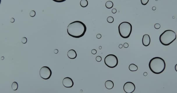 Rain Water Drops Pouring Car Glass Time Lapse — Stock Video