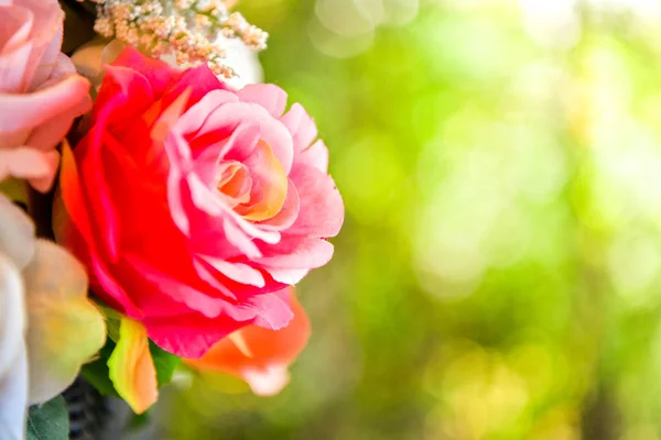 Rote Rose auf Bokeh-Hintergrund. — Stockfoto