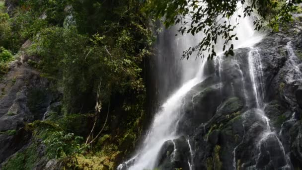 Krok Dok Cachoeira Floresta Tropical Saraburi Tailândia Fundo Natureza — Vídeo de Stock