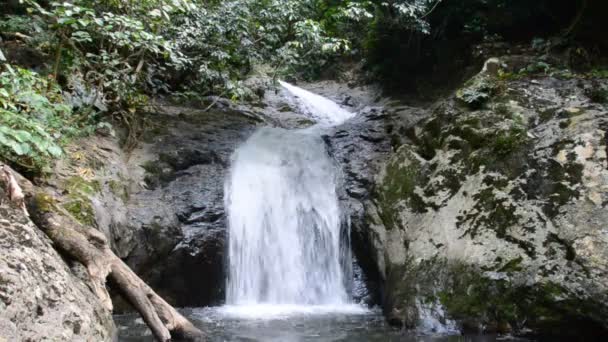 Krok Dok Waterfall Tropisk Regnskog Saraburi Thailand Natur Bakgrund — Stockvideo