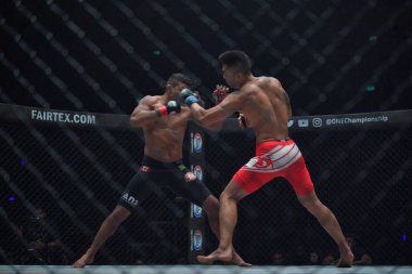 Bibiano Fernandes ve Martin Nguyen horoz sıklet Word Şampiyonası'nda