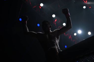 Bibiano Fernandes ve Martin Nguyen horoz sıklet Word Şampiyonası'nda