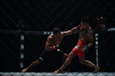 Bibiano Fernandes ve Martin Nguyen horoz sıklet Word Şampiyonası'nda