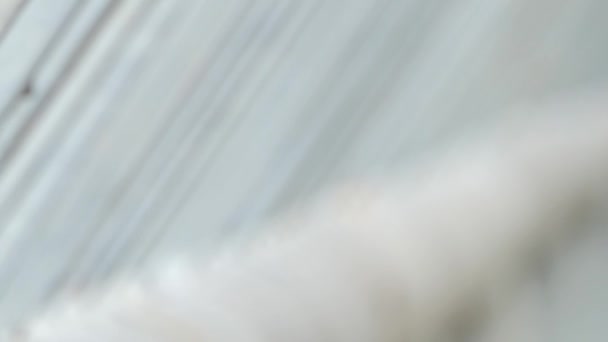 Panneau de clôture métallique du terrain de football, utiliser fond .