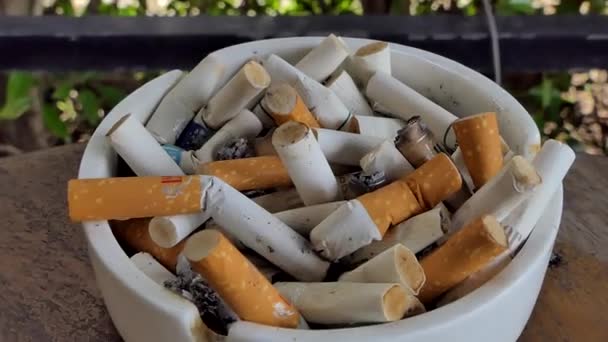 Cigarette Stubs Ashtray Dolly Shot — Stock Video
