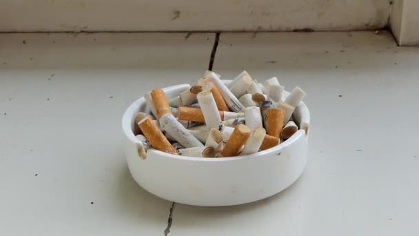 Cigarette Stubs Ashtray Dolly Shot — Stock Video