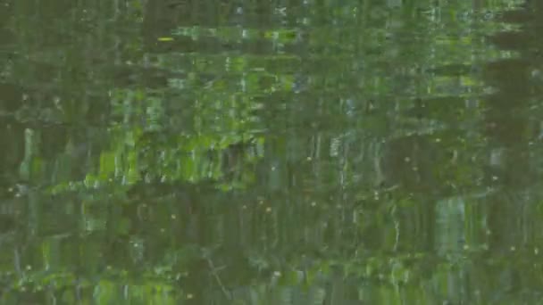 Reflexion Des Grünen Blattes Auf Dem Wasser Hintergrund Der Natur — Stockvideo