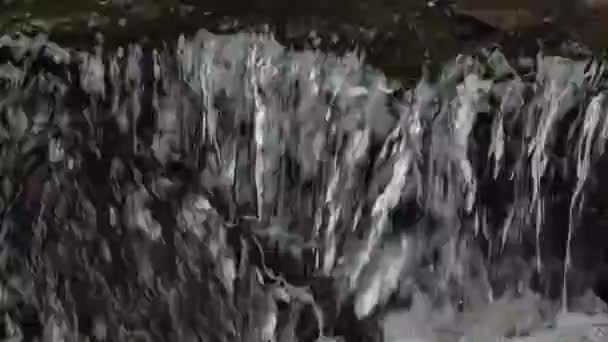 Cachoeira Floresta Tropical Câmera Lenta — Vídeo de Stock